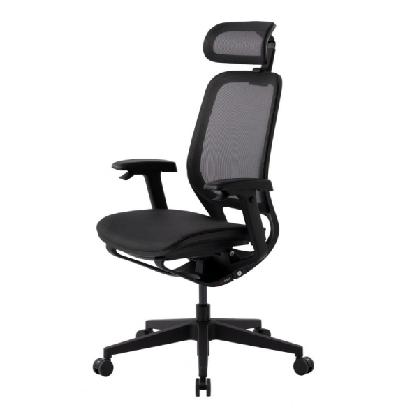 Купить Премиум эргономичное кресло GT Chair NEOSEAT X, черный